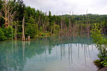 青い池