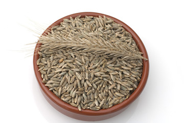 Roggenaehre; Roggen; Roggenaehren; Secale; Cereale;