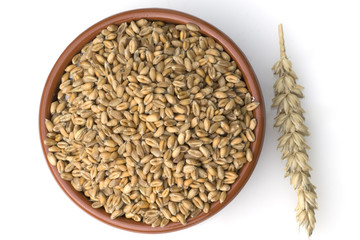 Weizenkoerner, Weizen, Triticum, aestivum,