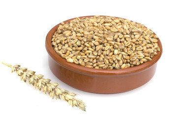 Weizenkoerner, Weizen, Triticum, aestivum,