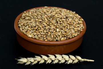 Weizenkoerner, Weizen, Triticum, aestivum,