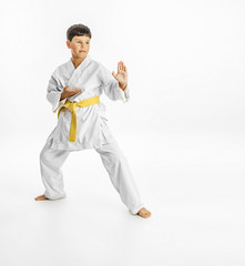 A karate kid posing