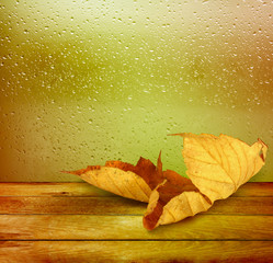 Dried autumn leaves lying on the background of the rainy window