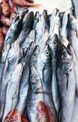 Obraz premium Fish market