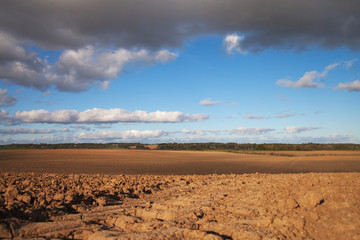 Fresh agricultural field.