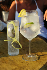 Gin tonic con limón