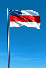 Amazonas (Brazil) flag waving on the wind