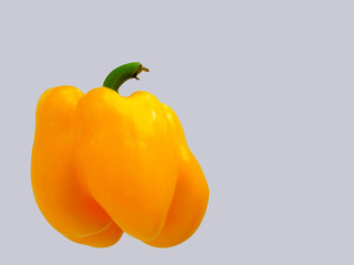 Sweet pepper