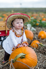 Pumpkin patch