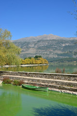 Fototapeta na wymiar Giannena city and old boat in Pamvotis lake