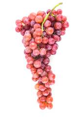 grapes isolated on white background