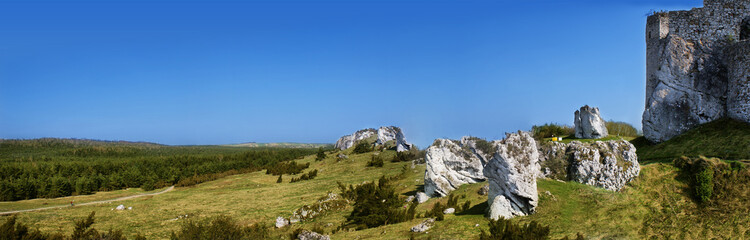 Fototapeta premium Panorama of ruins Mirow Castle, Poland