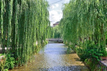 京都白川 © peia