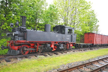 Fototapeta na wymiar Meyer-Gelenklokomotive, Schönheide, #8555