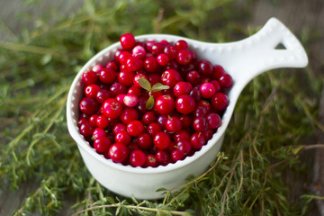 a cup full of lingonberry forest closeup