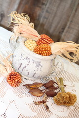 Herbstfreuden mit buntem Ziermais