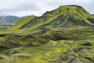 Volcanic landscape covered with moss