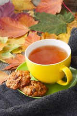 cup of hot tea, biscuits and knitted blanket