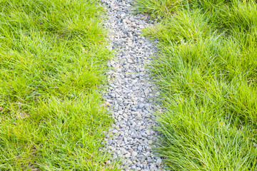 Path through the grass