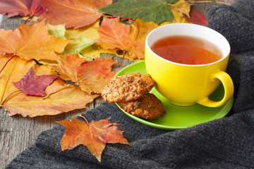 cup of hot tea, biscuits and knitted blanket on the table, strew