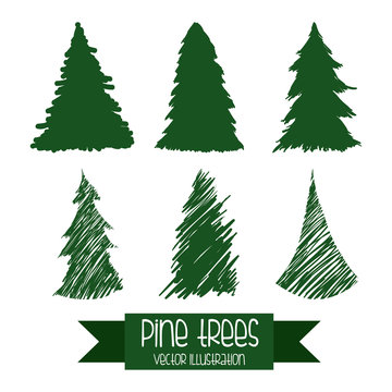 pine tree design