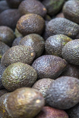 Avocados