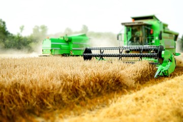 Fototapeta premium Mähdrescher bei Getreideernte, Bildeffekt