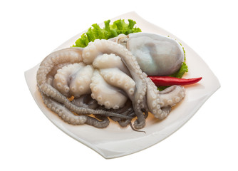 Raw octopus