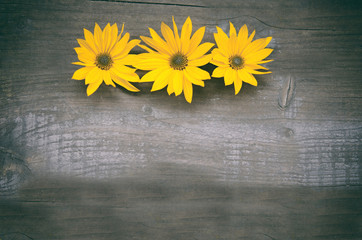 Blumen, gelb, Hintergrund Holz