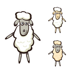 Sheep