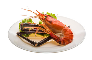 Giant Freshwater Prawn