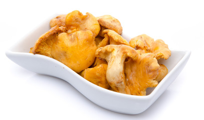 Cup of chanterelle mushrooms