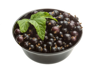 Black currant