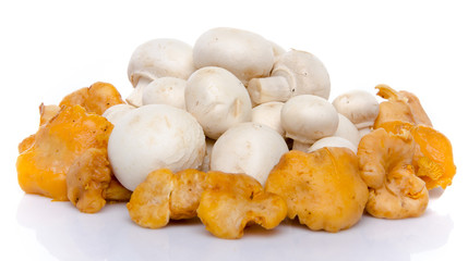Composition with button and chanterelle mushrooms