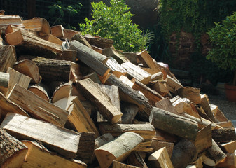 bois coupé en vrac kazy_6542