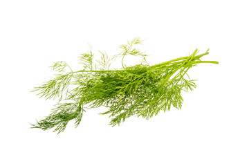 Dill branch