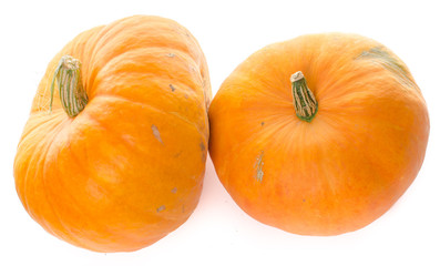 Nice big pumpkins