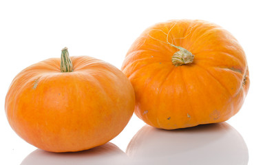 Nice big pumpkins