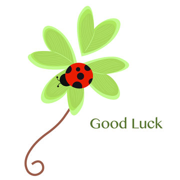 Good Luck greeting card with clover and ladybird vector