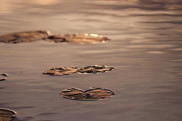 sunset on the lake red