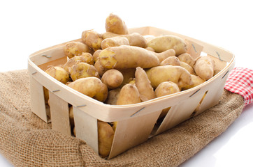 New rattes potatoes in a basket