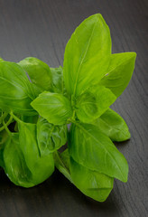 Basil leaves