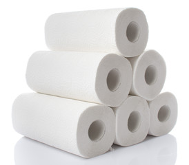 Composition with paper towel rolls
