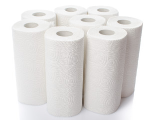 Composition with paper towel rolls