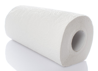 Paper towel roll