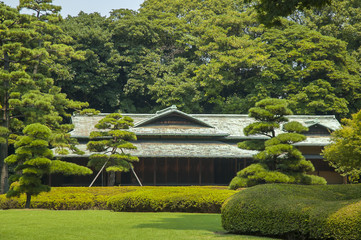 Japanese garden - 70966482