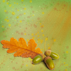 Old grunge paper with autumn oak leaves and acorns on the abstra