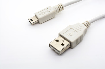 Mini USB Plug And Type A USB Plug