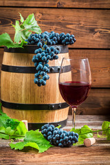 Glass of red wine and grapes
