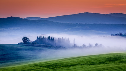 Farm of olive groves and vineyards in foggy sunrise